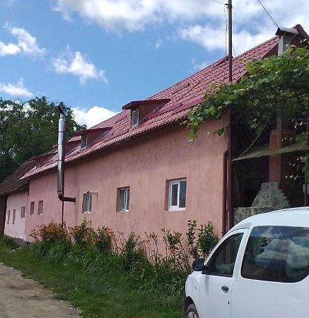 Casa Boierului Imbri Villa Cîrţişoara Eksteriør bilde