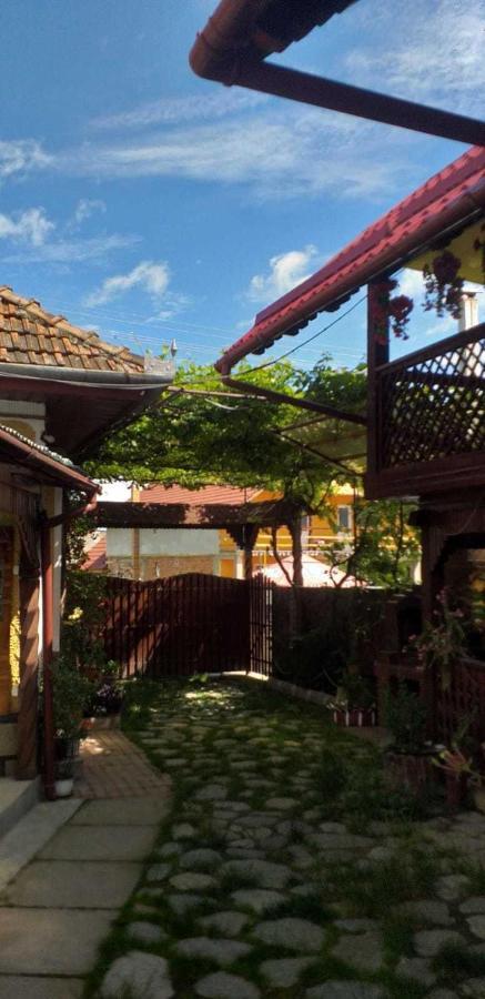 Casa Boierului Imbri Villa Cîrţişoara Eksteriør bilde