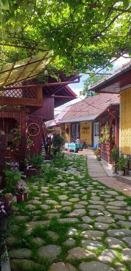 Casa Boierului Imbri Villa Cîrţişoara Eksteriør bilde