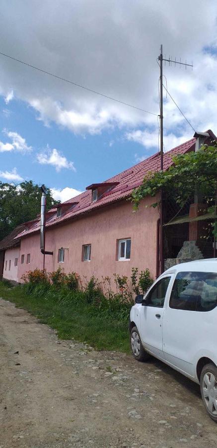 Casa Boierului Imbri Villa Cîrţişoara Eksteriør bilde